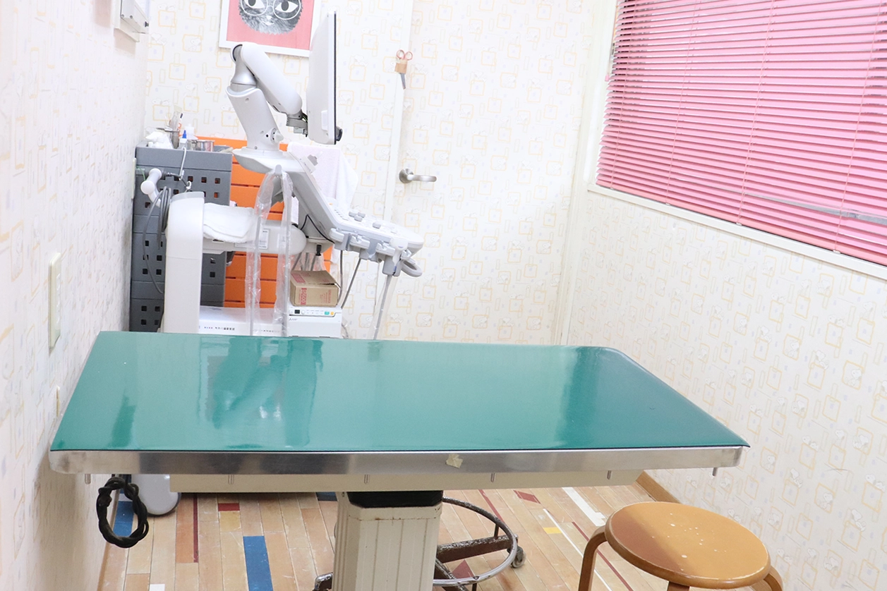 神戸市長田区のオタニ動物病院｜大型犬の手術も対応しています